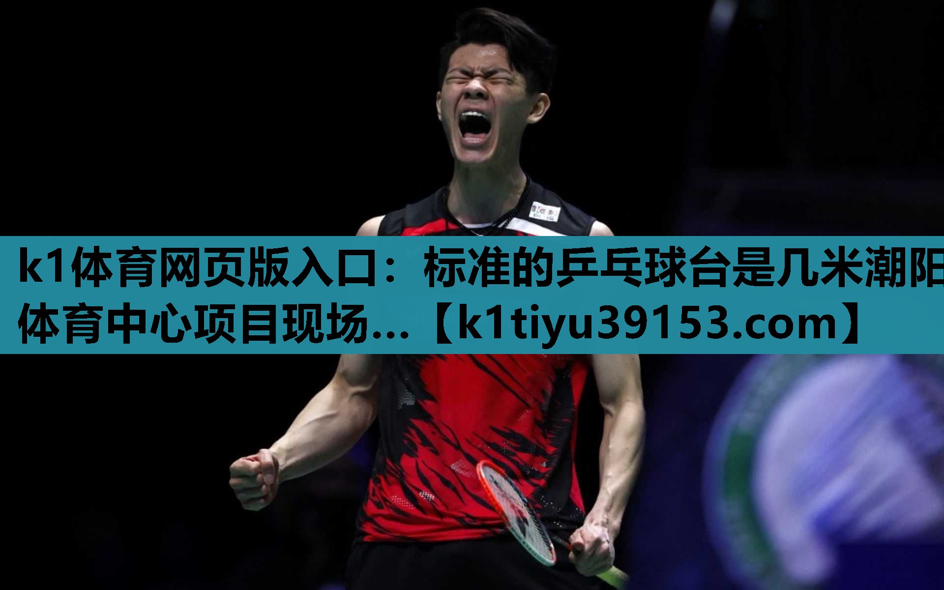 k1体育网页版入口：标准的乒乓球台是几米潮阳体育中心项目现场…