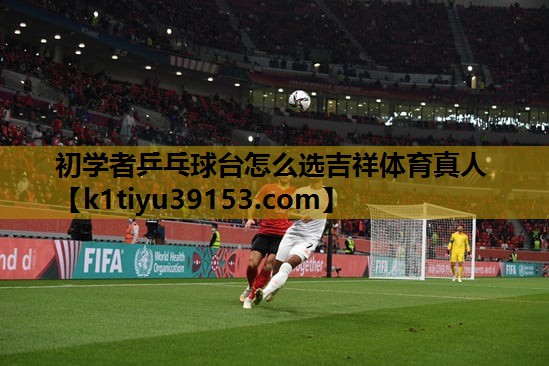 初学者乒乓球台怎么选吉祥体育真人