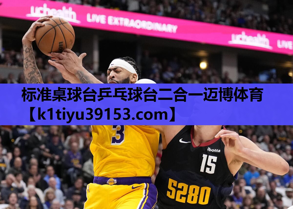 标准桌球台乒乓球台二合一迈博体育