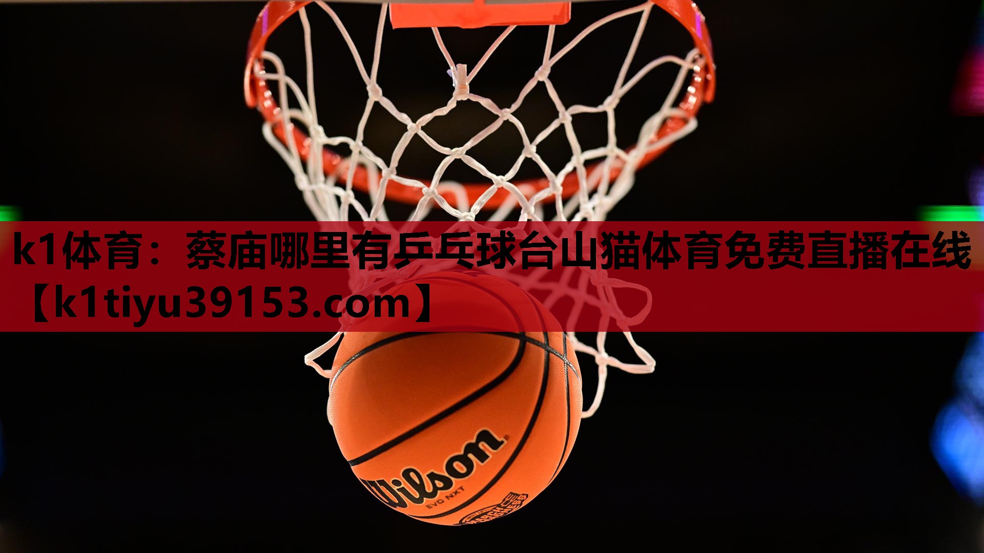 k1体育：蔡庙哪里有乒乓球台山猫体育免费直播在线
