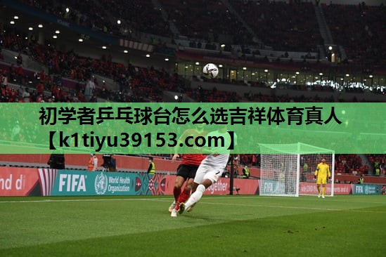 初学者乒乓球台怎么选吉祥体育真人